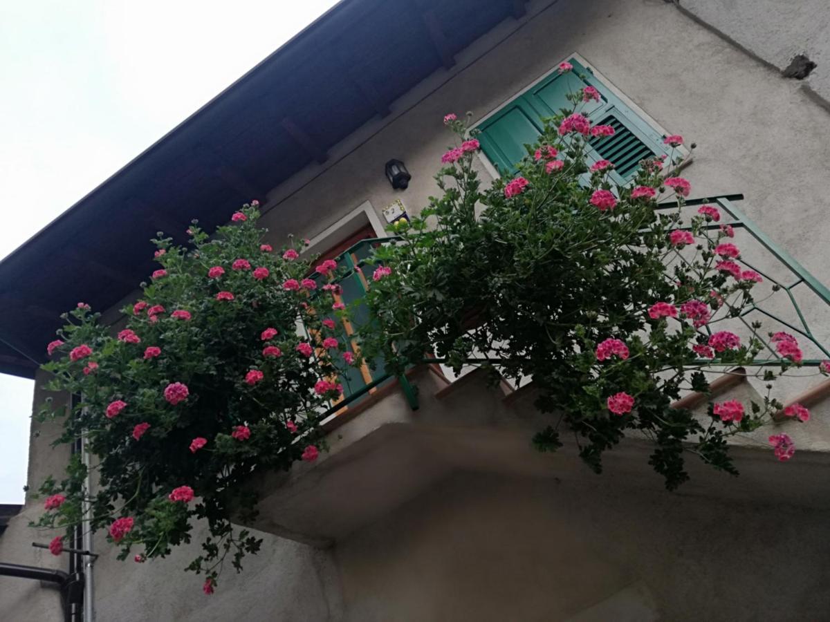 Casa Maria Lafinestrasulgarda Apartment Limone sul Garda Exterior photo