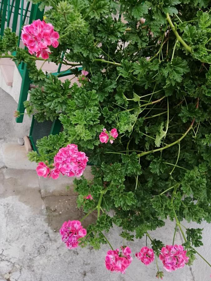 Casa Maria Lafinestrasulgarda Apartment Limone sul Garda Exterior photo