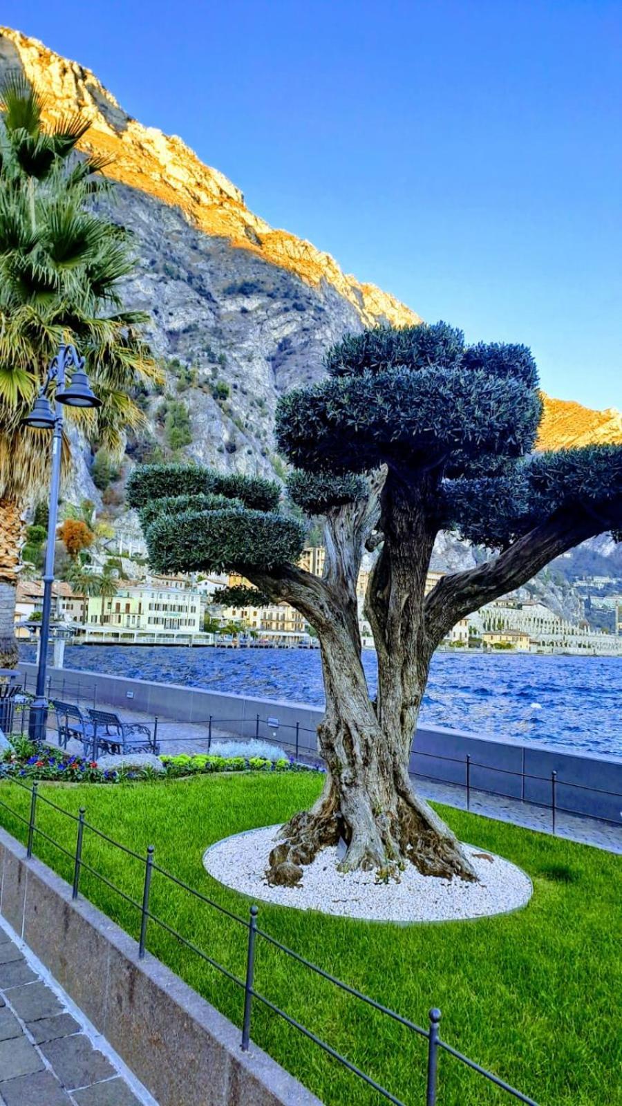 Casa Maria Lafinestrasulgarda Apartment Limone sul Garda Exterior photo